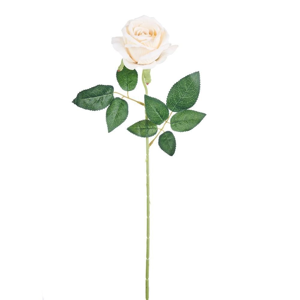ROSA JULIET CREAM 50CM